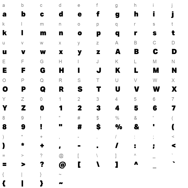 aktiv grotesk geor black Character Map