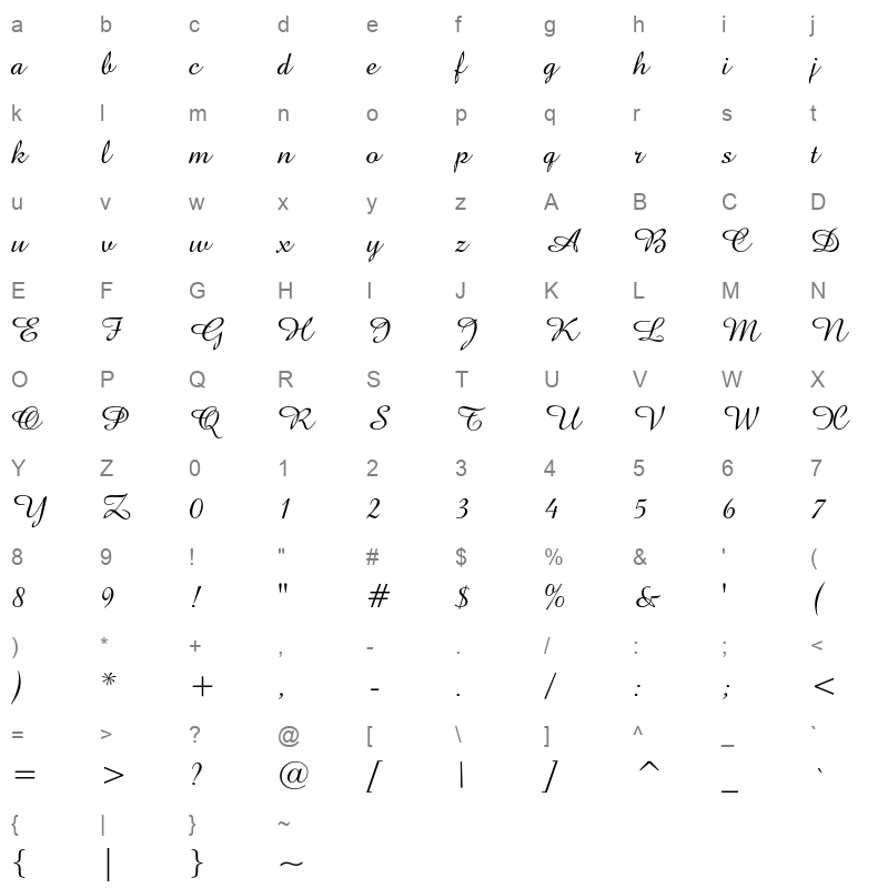 amazone regular Character Map