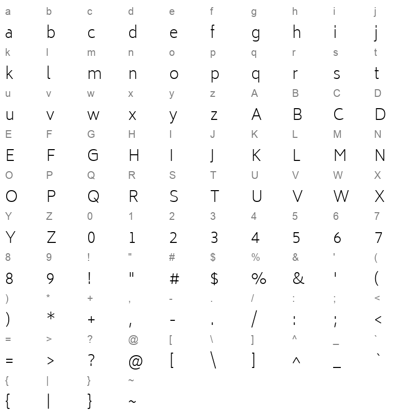 biryani extra light Character Map