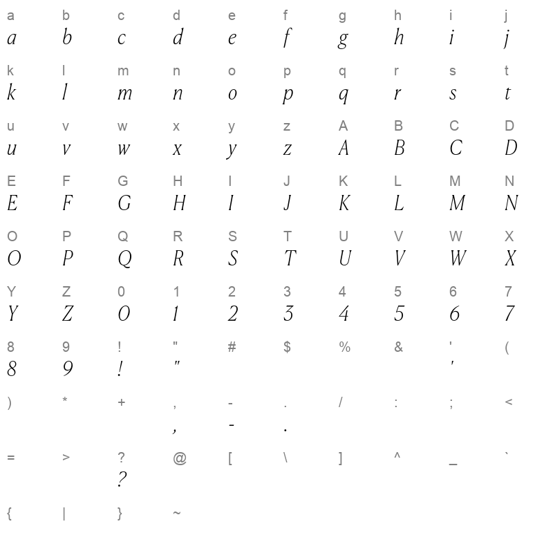CanelaDeck ThinItalic Trial Character Map