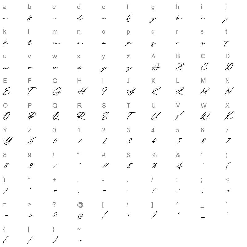 The Destiny Character Map