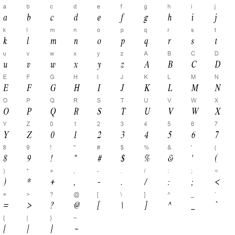 ZT Formom Italic Character Map