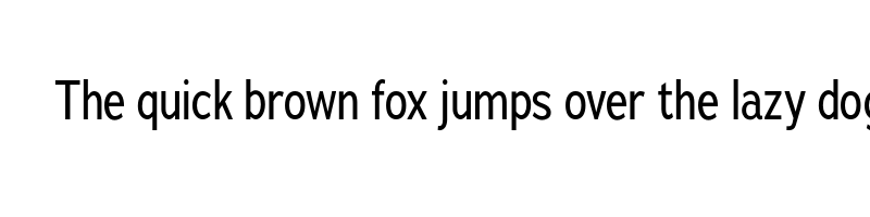 Preview of adrianna condensed