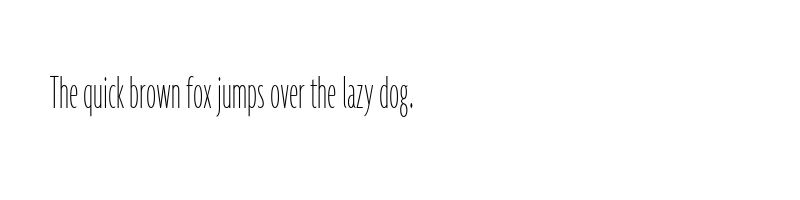 Preview of agenda thin ultra condensed