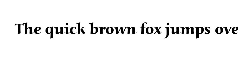 Preview of alcuin becker ext bold regular