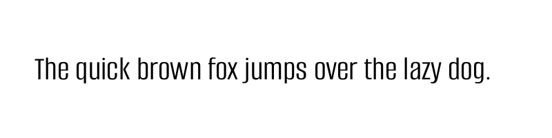 Preview of alumni sans regular