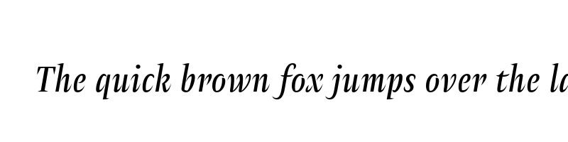 Preview of amster regular italic