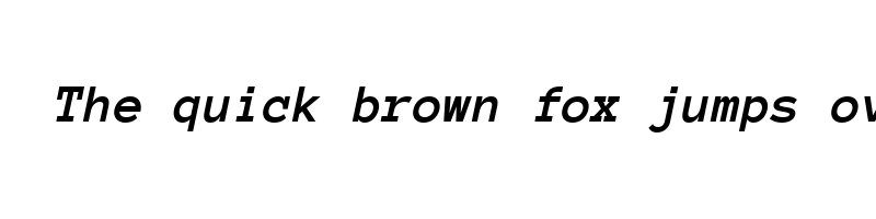 font preview of anonymous pro bolditalic