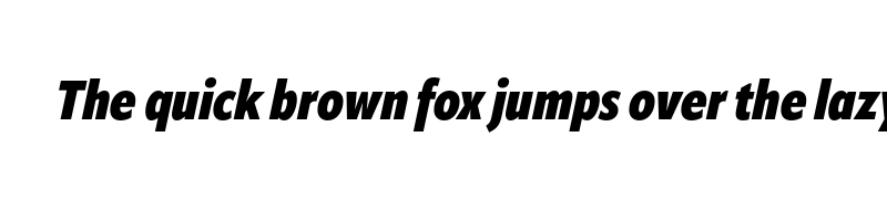 Preview of apparat condensed heavy italic