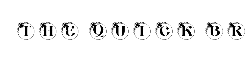 Preview of aria monogram