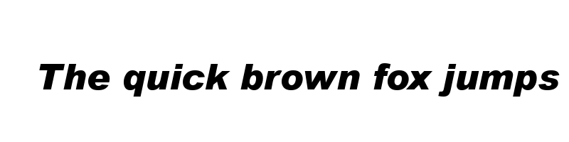 Preview of arial black italic
