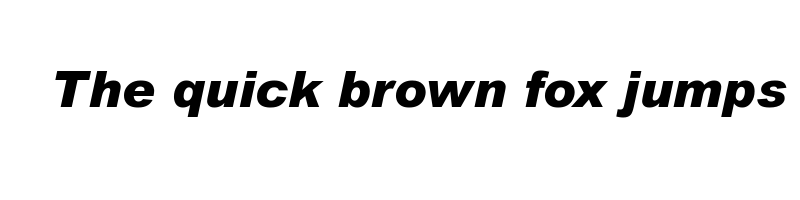 Preview of arial mt black italic