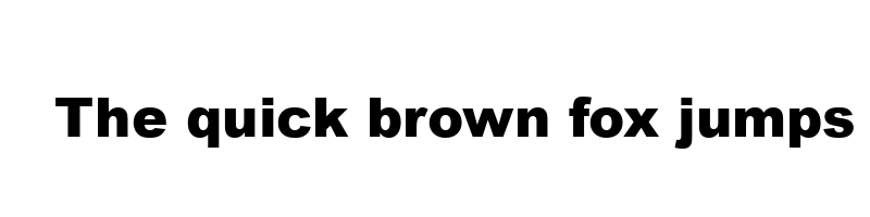 Preview of arial mt black