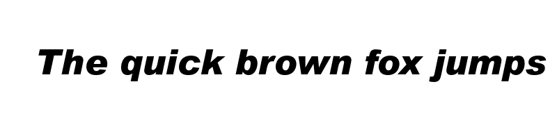 Preview of arial mt pro black italic