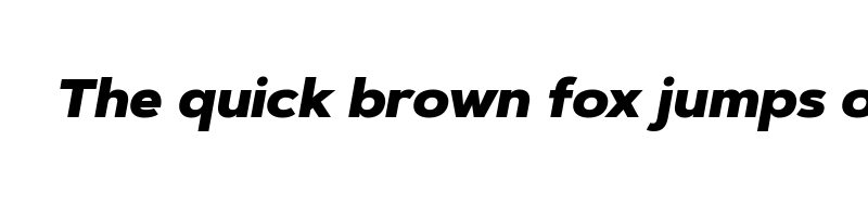 Preview of artegra sans black italic
