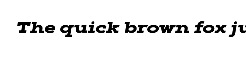 Preview of artegra slab black italic