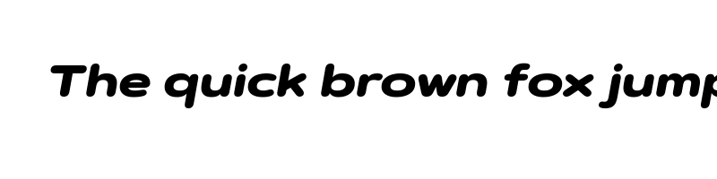 Preview of artegra soft extended black italic