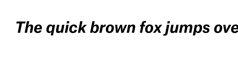 Preview of atlas grotesk bold italic demo