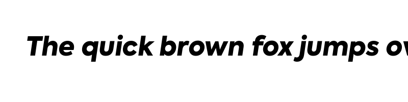 Preview of axiforma black italic