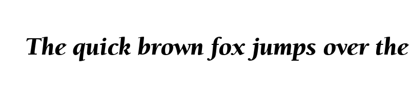 Preview of berkeley black italic