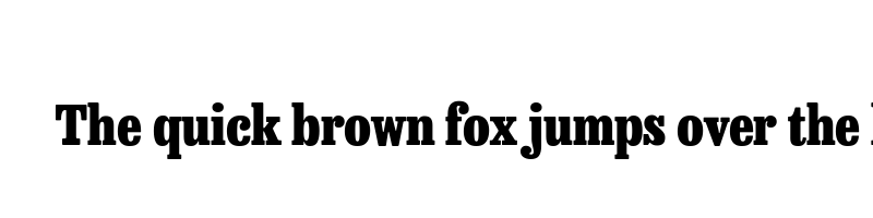 Preview of besley condensed heavy