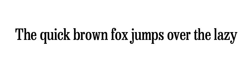 Preview of besley condensed medium
