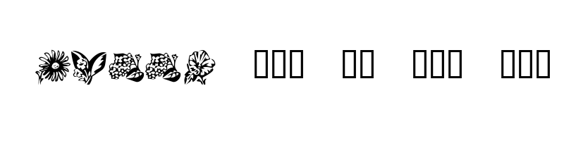 font preview of KR Beautiful Flowers 3 Regular