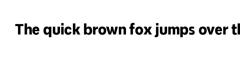 Preview of Never Mind Condensed Extra bold