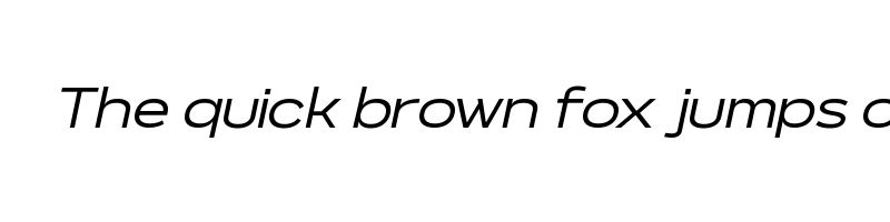 Preview of Never Mind Extended Book Italic