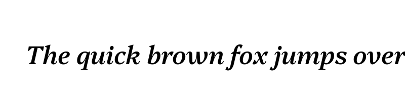 Preview of Platypi MediumItalic