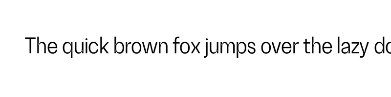 font preview of RG SlimBook